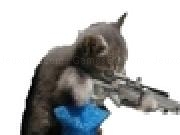 Jouer à Amazing Cat