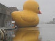 Jouer à Shoot Ducks at Bieber