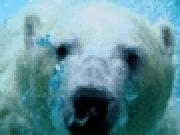 Jouer à bear swimmer