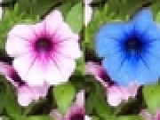 Jouer à Bloomy Differences