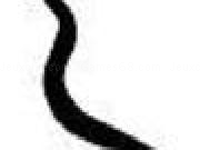 Jouer à Classic snake game
