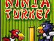Jouer à Ninja Turkeys