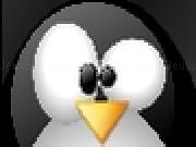 Jouer à Linux System