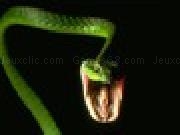 Jouer à Snake Chating
