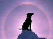 Jouer à SunDog
