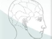 Jouer à Brain Match