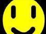 Jouer à Hunt the smiley - More levels!!!!