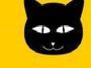 Jouer &agrave; Cat Burglar