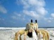 Jouer à Broken Crab