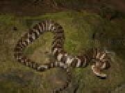 Jouer à Northern Water Snake Jigsaw