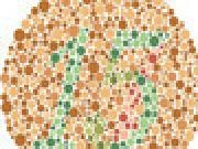 Jouer &agrave; Drawn to the Exit 1.1