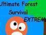 Jouer à Ultimate Forest Survival
