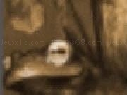 Jouer &agrave; Field of Dreams - Grand Adventure Game