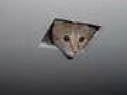 Jouer à Ceiling Cat Wars