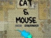 Jouer à Cat N Mouse Chaser