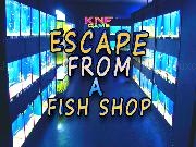 Jouer à Escape From a Fish Shop