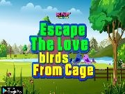 Jouer à Escape The Love birds From Cage