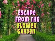 Jouer à Escape From the Flower Garden