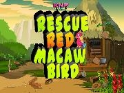 Jouer à Rescue Red Macaw Bird