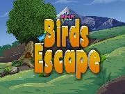 Jouer à birds Escape