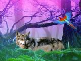 Jouer &agrave; Gray wolf forest escape