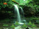 Jouer à Forest falls wilderness escape