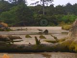Jouer à Supernatural island escape