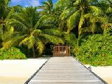 Jouer à Wow tropical paradise escape