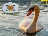 Jouer à Swan valley escape