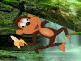 Jouer à Wow mad monkey forest escape