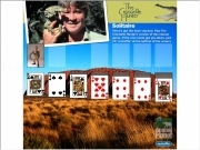 Jouer à The crocodile hunter solitaire