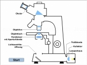 Jouer à Mikroskop durchlicht