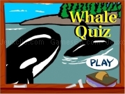 Jouer à Crazyquiz whale