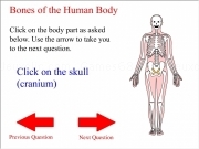 Jouer à Body bones quiz