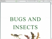 Jouer à Bugs ebook l3