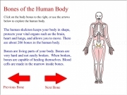 Jouer à Body bones quiz