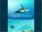 Jouer à Fugitive tortoise