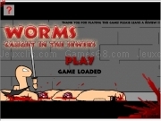 Jouer à Worms - caught in the sexers