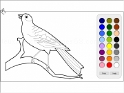 Jouer à Bird coloring