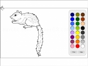 Jouer à Squirrel coloring