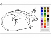 Jouer à Lizard coloring