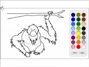 Jouer à Monkey coloring