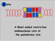 Jouer à Cutting genes blunt