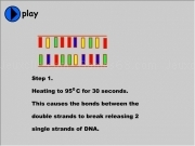 Jouer à 30 seconds heating dna