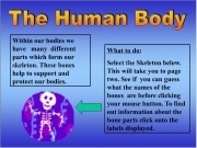 Jouer à Human body