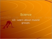 Jouer à Muscle groups