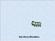 Jouer à Woodlice habitat