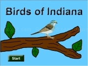 Jouer à Birds of indiana