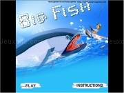 Jouer à Big fish game