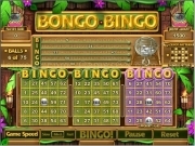 Jouer à Bongo bingo